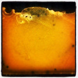 Pumpkin Brew Cold Process Soap, 4oz