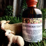 Hawthorn Tincture, 4 oz.
