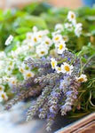 Chamomile and Lavender Cold process Soap