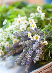 Chamomile and Lavender Cold process Soap